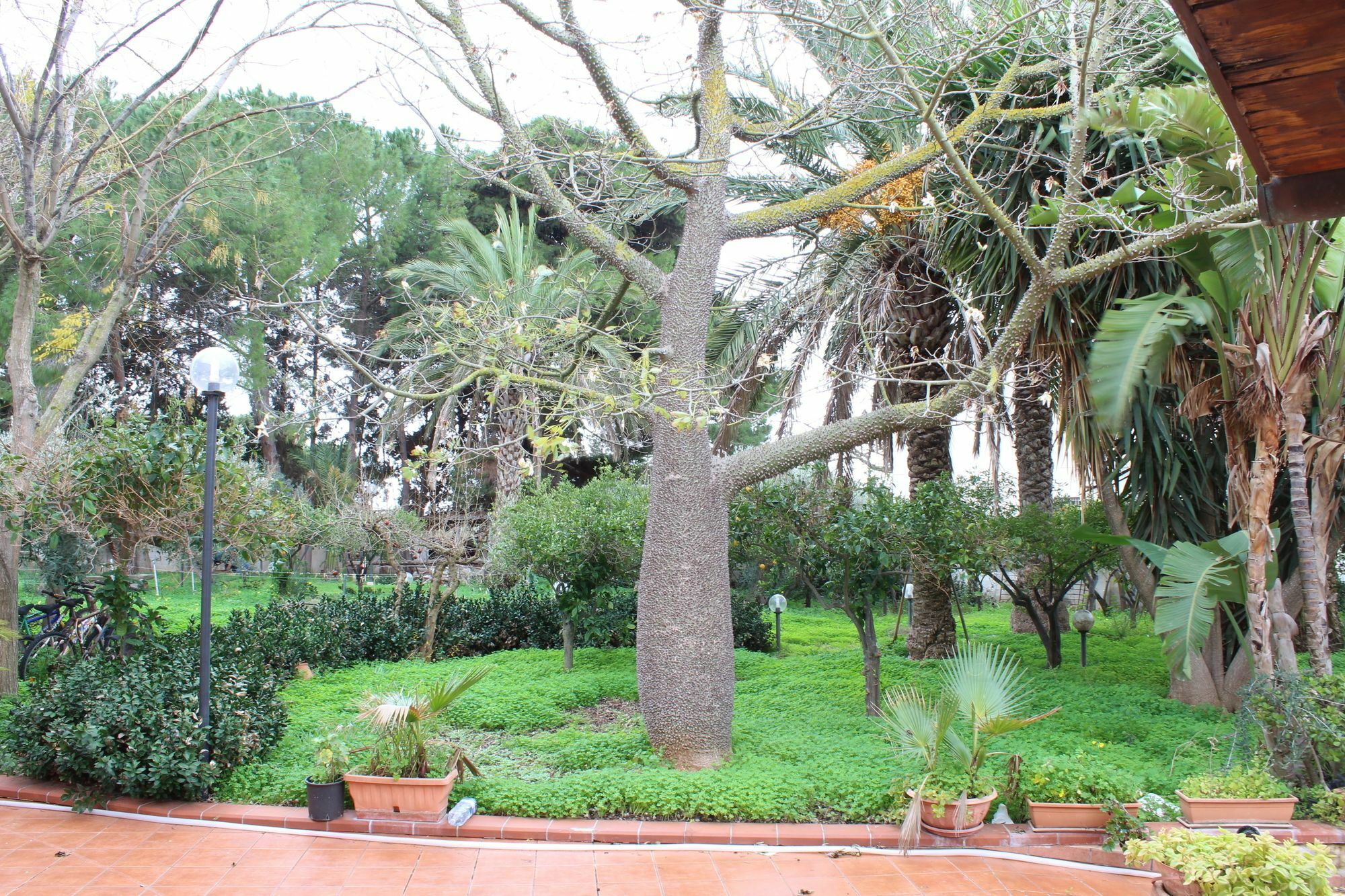 Villa Delle Nifee Mazara del Vallo Dış mekan fotoğraf